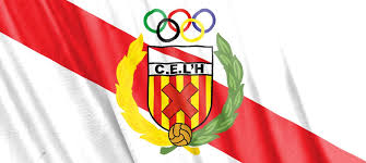  Renovar Carnet Conducir en Hospitalet 